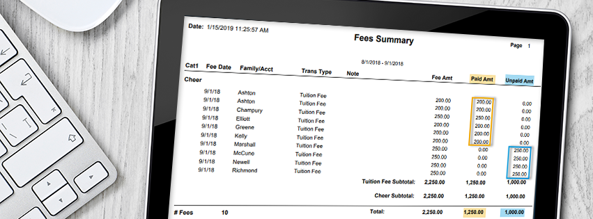 Fees Summary Report in Jackrabbit Class.