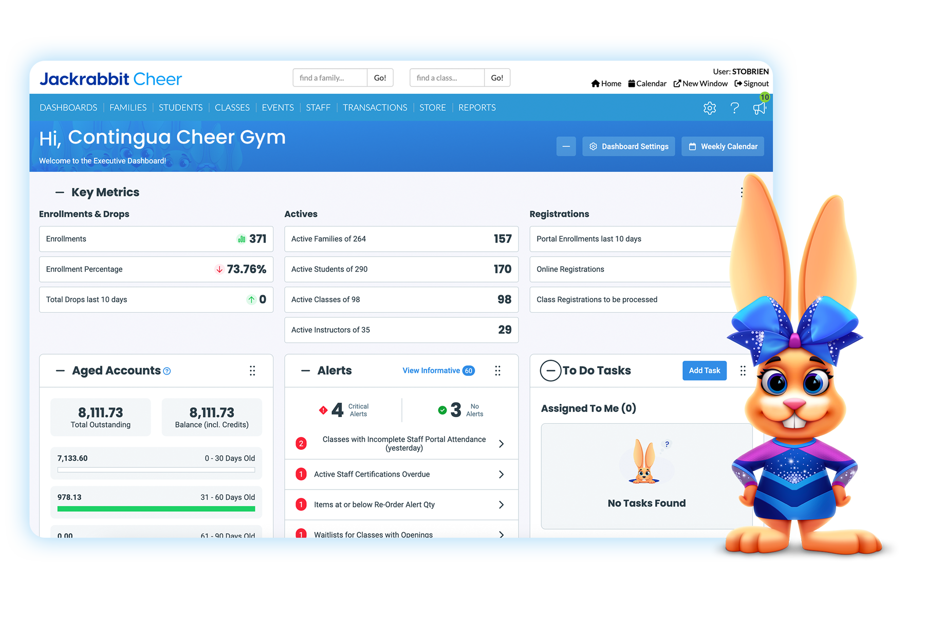 executive-dashboard-jackrabbit-cheer-bunny-blue-glow-flat-75