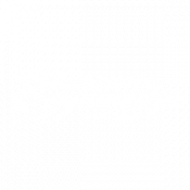 Dynamic Gymnastics Jackrabbit sponsor logo